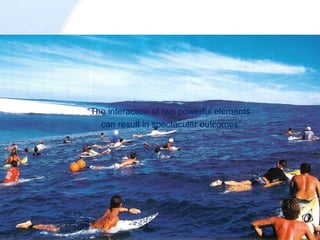 “ The interaction of two powerful elements can result in spectacular outcomes” 