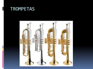 TROMPETAS
 