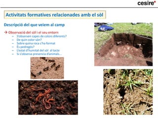 Descripció del que veiem al camp
 Observació del sòl i el seu entorn
– S’observen capes de colors diferents?
– De quin color són?
– Sobre quina roca s’ha format
– És pedregós?
– L’estat d’humitat del sòl al tacte
– Si s’observa presencia d’animals...
Activitats formatives relacionades amb el sòl
 