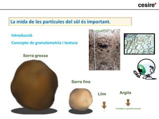 La mida de les partícules del sòl és important.
Sorra grossa
Sorra fina
Llim Argila
Invisible a aquesta escala
Introducció
Concepte de granulometria i textura
 