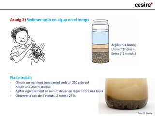 Assaig 2) Sedimentació en aigua en el temps
Argila (~24 hores)
Llims (~2 hores)
Sorra (~5 minuts)
Pla de treball:
- Omplir un recipient transparent amb un 250 g de sòl
- Afegir uns 500 ml d’aigua
- Agitar vigorosament un minut, deixar en repòs sobre una taula
- Observar al cab de 5 minuts, 2 hores i 24 h.
Foto: D. Badia
 