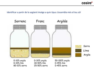 Identificar a partir de la següent imatge a quin tipus s’assembla més el teu sòl
Sorrenc Franc Argilós
0-10% argila
0-10% llim
80-10% sorra
0-30% argila
30-50% llim
25-50% sorra
50-100% argila
0-45% llim
0-45% sorra
Sorra
Llims
Argila
 