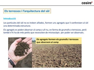Els terrossos i l’arquitectura del sòl
Introducció
Les partícules del sòl no es troben aïllades, formen uns agregats que li confereixen al sòl
una determinada estructura.
Els agregats es poden observar al camp a ull nu, en forma de grumolls o terrossos, però
també n’hi ha de més petits que necessiten de microscòpic per poder ser observats.
Els agregats formen els grumolls i terrossos
que observem al camp
 
