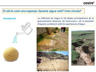 El sòl és com una esponja: Quanta aigua reté? Com circula?
Introducció La infiltració de l’aigua al sòl depèn principalment de la
granulometria (textura), de l’estructura i de la porositat
d’aquest, juntament amb les aportacions d’aigua.
 