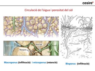 Bioporus (infiltració)
Macroporus (infiltració) i microporus (retenció)
Circulació de l’aigua i porositat del sòl
 