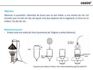 Objectius
Observar la quantitat i diversitat de fauna que és pot trobar a una mostra de sòl. Cal
recordar que no tots els sòls són iguals sinó que depenen de la vegetació, el clima on es
troben, l’ús del sòl, etc.
Material necessari
- Embut amb una malla de 2mm (anomenat de Tullgren o embut Berlese).
Esquema per elaborar l’embut. Font: http://ecoplexity.org/?q=node/577
 