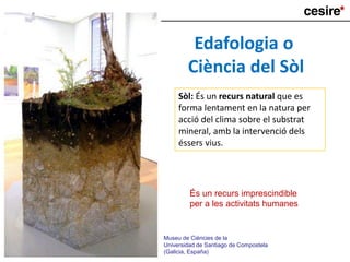Museu de Ciències de la
Universidad de Santiago de Compostela
(Galicia, España)
És un recurs imprescindible
per a les activitats humanes
Sòl: És un recurs natural que es
forma lentament en la natura per
acció del clima sobre el substrat
mineral, amb la intervenció dels
éssers vius.
Edafologia o
Ciència del Sòl
 