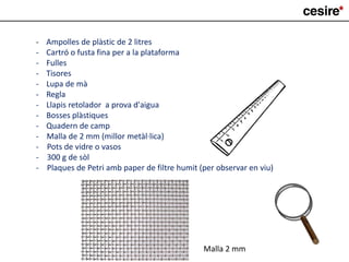 - Ampolles de plàstic de 2 litres
- Cartró o fusta fina per a la plataforma
- Fulles
- Tisores
- Lupa de mà
- Regla
- Llapis retolador a prova d'aigua
- Bosses plàstiques
- Quadern de camp
- Malla de 2 mm (millor metàl·lica)
- Pots de vidre o vasos
- 300 g de sòl
- Plaques de Petri amb paper de filtre humit (per observar en viu)
Malla 2 mm
 
