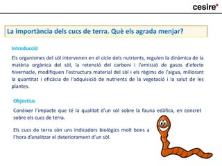 La importància dels cucs de terra. Què els agrada menjar?
Introducció
Els organismes del sòl intervenen en el cicle dels nutrients, regulen la dinàmica de la
matèria orgànica del sòl, la retenció del carboni i l'emissió de gasos d'efecte
hivernacle, modifiquen l'estructura material del sòl i els règims de l'aigua, millorant
la quantitat i eficàcia de l'adquisició de nutrients de la vegetació i la salut de les
plantes.
Objectius
Conèixer l’impacte que té la qualitat d’un sòl sobre la fauna edàfica, en concret
sobre els cucs de terra.
Els cucs de terra són uns indicadors biològics molt bons a
l’hora d’analitzar el deteriorament d’un sòl.
 
