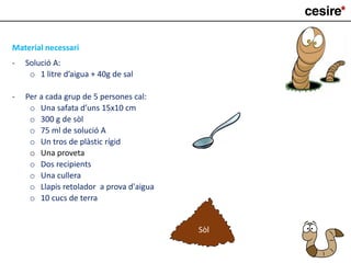 Material necessari
- Solució A:
o 1 litre d’aigua + 40g de sal
- Per a cada grup de 5 persones cal:
o Una safata d’uns 15x10 cm
o 300 g de sòl
o 75 ml de solució A
o Un tros de plàstic rígid
o Una proveta
o Dos recipients
o Una cullera
o Llapis retolador a prova d'aigua
o 10 cucs de terra
Sòl
 