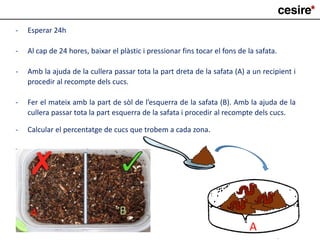 - Esperar 24h
- Al cap de 24 hores, baixar el plàstic i pressionar fins tocar el fons de la safata.
- Amb la ajuda de la cullera passar tota la part dreta de la safata (A) a un recipient i
procedir al recompte dels cucs.
- Fer el mateix amb la part de sòl de l’esquerra de la safata (B). Amb la ajuda de la
cullera passar tota la part esquerra de la safata i procedir al recompte dels cucs.
- Calcular el percentatge de cucs que trobem a cada zona.
A
A B
 