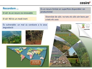 És un recurs limitat en superfície disponible i en
productivitat
Recordem …
El sòl NO és un medi inert
El sòl és un recurs no renovable
És vulnerable: un mal ús condueix a la seva
degradació
Diversitat de sòls: no tots els sòls són bons per
a tots els usos
 