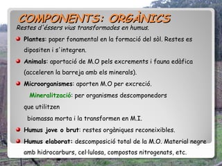 COMPONENTS: ORGÀNICS
Restes d'éssers vius transformades en humus.
  Plantes: paper fonamental en la formació del sòl. Restes es
  dipositen i s'integren.
  Animals: aportació de M.O pels excrements i fauna edàfica
  (acceleren la barreja amb els minerals).
  Microorganismes: aporten M.O per excreció.
    Mineralització: per organismes descomponedors
  que utilitzen
   biomassa morta i la transformen en M.I.
  Humus jove o brut: restes orgàniques reconeixibles.
  Humus elaborat: descomposició total de la M.O. Material negre
  amb hidrocarburs, cel·lulosa, compostos nitrogenats, etc.
 