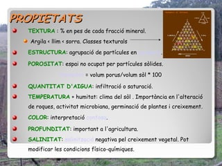 PROPIETATS
  TEXTURA : % en pes de cada fracció mineral.
  Argila < llim < sorra. Classes texturals
  ESTRUCTURA: agrupació de partícules en agregats.

  POROSITAT: espai no ocupat per partícules sòlides.
              Porositat = volum porus/volum sòl * 100

  QUANTITAT D'AIGUA: infiltració o saturació.
  TEMPERATURA + humitat: clima del sòl . Importància en l'alteració
  de roques, activitat microbiana, germinació de plantes i creixement.
  COLOR: interpretació confosa.

  PROFUNDITAT: important a l'agricultura.
  SALINITAT: salinització negativa pel creixement vegetal. Pot
  modificar les condicions físico-químiques.
 