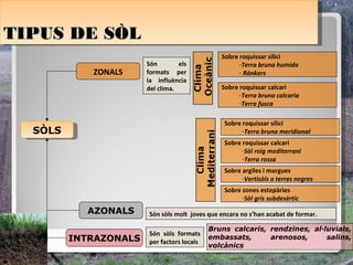 TIPUS DE SÒL
TIPUS DE SÒL
                                                Sobre roquissar silici
                        Són        els                -Terra bruna humida
             ZONALS     formats per                   - Rànkers
                        la influència
                        del clima.              Sobre roquissar calcari
                                                      -Terra bruna calcaria
                                                      -Terra fusca

                                                 Sobre roquissar silici
  SÒLS
   SÒLS                                                -Terra bruna meridional
                                                 Sobre roquissar calcari
                                                       -Sòl roig mediterrani
                                                       -Terra rossa
                                                 Sobre argiles i margues
                                                       -Vertisòls o terres negres
                                                 Sobre zones estepàries
                                                       -Sòl gris subdesèrtic

            AZONALS     Són sòls molt joves que encara no s’han acabat de formar.

                                             Bruns calcaris, rendzines, al·luvials,
                        Són sòls formats
          INTRAZONALS   per factors locals
                                             embassats,      arenosos,      salins,
                                             volcànics
 