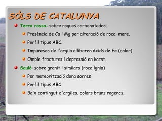 SÒLS DE CATALUNYA
  Terra rossa: sobre roques carbonatades.
     Presència de Ca i Mg per alteració de roca mare.
     Perfil tipus ABC.
     Impureses de l'argila alliberen òxids de Fe (color)
     Omple fractures i depressió en karst.
  Sauló: sobre granit i similars (roca ígnia)
     Per meteorització dona sorres
     Perfil tipus ABC
     Baix contingut d'argiles, colors bruns rogencs.
 