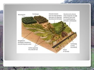 El sòl. processos i riscos