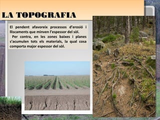 LA TOPOGRAFIA
LA TOPOGRAFIA
 El pendent afavoreix processos d’erosió i
 lliscaments que minven l’espessor del sòl.
   Per contra, en les zones baixes i planes
 s’acumulen tots els materials, la qual cosa
 comporta major espessor del sòl.
 