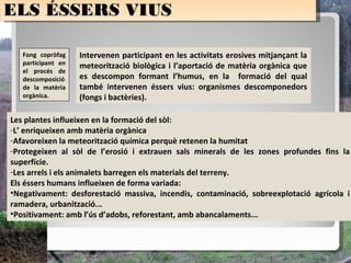 ELS ÉSSERS VIUS
ELS ÉSSERS VIUS

   Fong copròfag    Intervenen participant en les activitats erosives mitjançant la
   participant en   meteorització biològica i l’aportació de matèria orgànica que
   el procés de
   descomposició    es descompon formant l’humus, en la formació del qual
   de la matèria    també intervenen éssers vius: organismes descomponedors
   orgànica.        (fongs i bactèries).

Les plantes influeixen en la formació del sòl:
-L’ enriqueixen amb matèria orgànica
-Afavoreixen la meteorització química perquè retenen la humitat
-Protegeixen al sòl de l’erosió i extrauen sals minerals de les zones profundes fins la
superfície.
-Les arrels i els animalets barregen els materials del terreny.
Els éssers humans influeixen de forma variada:
•Negativament: desforestació massiva, incendis, contaminació, sobreexplotació agrícola i
ramadera, urbanització...
•Positivament: amb l’ús d’adobs, reforestant, amb abancalaments...
 