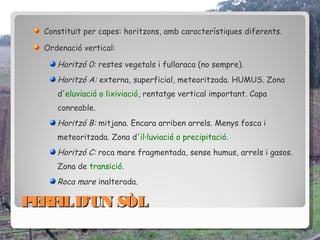 Constituït per capes: horitzons, amb característiques diferents.

  Ordenació vertical:

     Horitzó 0: restes vegetals i fullaraca (no sempre).
     Horitzó A: externa, superficial, meteoritzada. HUMUS. Zona
     d'eluviació o lixiviació, rentatge vertical important. Capa
     conreable.
     Horitzó B: mitjana. Encara arriben arrels. Menys fosca i
     meteoritzada. Zona d'il·luviació o precipitació.
     Horitzó C: roca mare fragmentada, sense humus, arrels i gasos.
     Zona de transició.
     Roca mare inalterada.

P RF D’UN SÒL
 E IL
 
