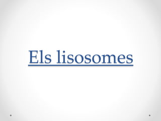 Els lisosomes

 