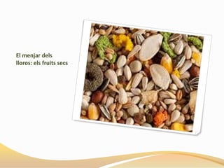 El menjar dels
lloros: els fruits secs
 