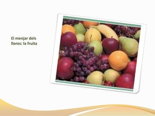 El menjar dels
lloros: la fruita
 