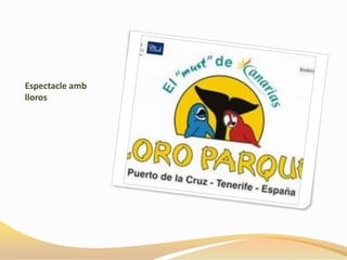 Espectacle amb
lloros
 