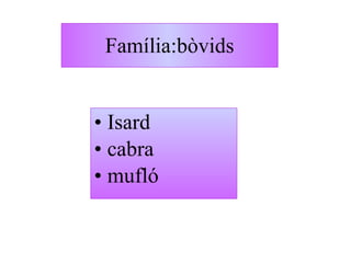Família:bòvids <ul><li>Isard </li></ul><ul><li>cabra </li></ul><ul><li>mufló </li></ul>
