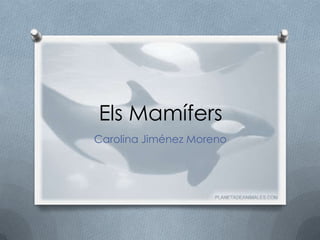 Els Mamífers
Carolina Jiménez Moreno
 