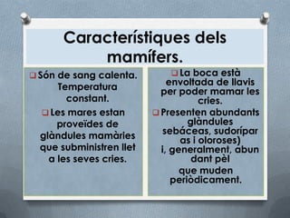 Característiques dels
           mamífers.
 Són de sang calenta.         La boca està
      Temperatura             envoltada de llavis
                            per poder mamar les
        constant.                     cries.
   Les mares estan        Presenten abundants
      proveïdes de                 glàndules
  glàndules mamàries         sebáceas, sudorípar
                                 as i oloroses)
  que subministren llet     i, generalment, abun
    a les seves cries.              dant pèl
                                 que muden
                               periòdicament.
 
