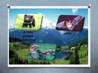 A més      …volar…
 poden
viure a la
 terra…
             O viure en
              l’aigua.
 