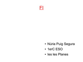FI




     ●   Núria Puig Segura
     ●   1erC ESO
     ●   Ies les Planes
 