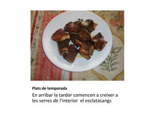 Plats de temporada
En arribar la tardor comencen a creixer a
les serres de l’interior el esclatasangs
 
