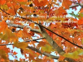 octubre
● L'octubre és el desè mes de l'any i té 31 dies.
● Dite: Quan l'octubre és arribat, ten el camp ben
afemat.
 