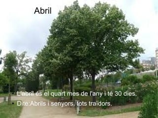 Abril
● L'abril és el quart mes de l'any i té 30 dies.
● Dite:Abrils i senyors, tots traïdors.
 