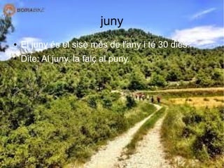 juny
● El juny és el sisè més de l'any i té 30 dies.
● Dite: Al juny, la falç al puny.
 