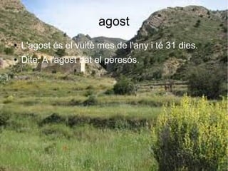 agost
● L'agost és el vuitè mes de l'any i té 31 dies.
● Dite: A l'agost bat el peresós.
 