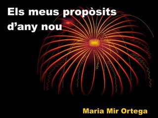 Els meus propòsits d’any nou Maria Mir Ortega 