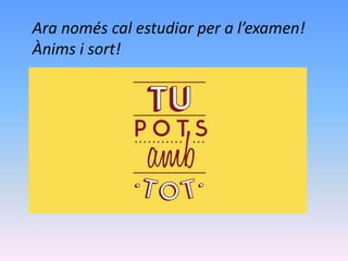 Ara només cal estudiar per a l’examen!
Ànims i sort!
 