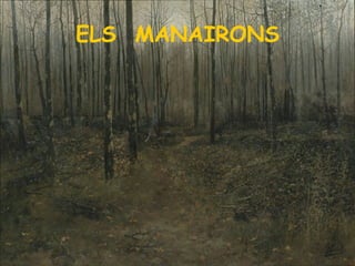 ELS  MANAIRONS 
