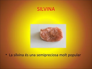 SILVINA
• La silvina és una semipreciosa molt popular
 