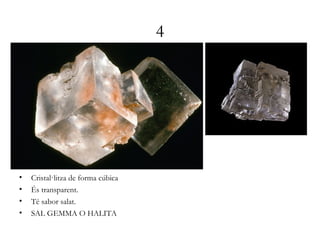 4
• Cristal·litza de forma cúbica
• És transparent.
• Té sabor salat.
• SAL GEMMA O HALITA
 