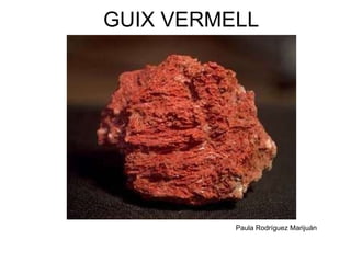 GUIX VERMELL Paula Rodríguez Marijuán