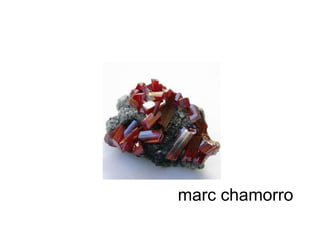 marc chamorro