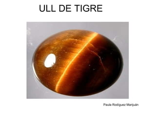 ULL DE TIGRE Paula Rodíguez Marijuán