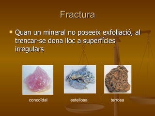 Fractura Quan un mineral no poseeix exfoliació, al trencar-se dona lloc a superfícies irregulars concoïdal estellosa terrosa 