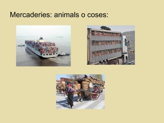 Mercaderies: animals o coses:
 