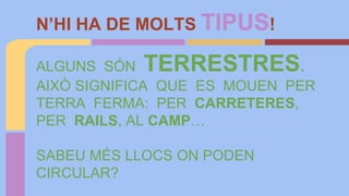 N’HI HA DE MOLTS TIPUS!
ALGUNS SÓN TERRESTRES.
AIXÒ SIGNIFICA QUE ES MOUEN PER
TERRA FERMA: PER CARRETERES,
PER RAILS, AL CAMP…
SABEU MÉS LLOCS ON PODEN
CIRCULAR?
 