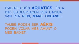D’ALTRES SÓN AQUÀTICS, ÉS A
DIR, ES DESPLACEN PER L’AIGUA.
VAN PER RIUS, MARS, OCEANS...
TAMBÉ PODEN SER AÈRIS!
PODEN VOLAR MÉS AMUNT O
MÉS BAIXET.
 